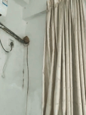 微信图片_20250527162539.gif